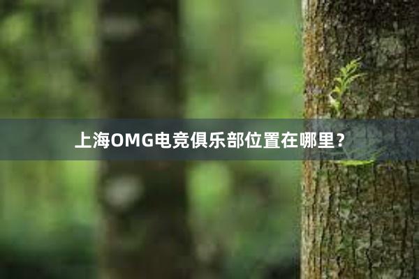 上海OMG电竞俱乐部位置在哪里？
